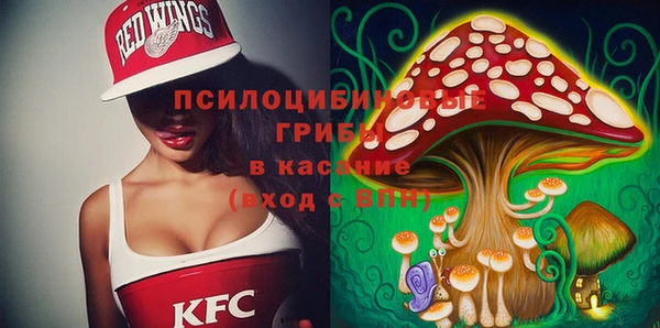 мдма Снежногорск