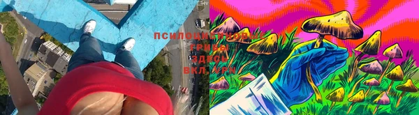прущие крисы Богданович