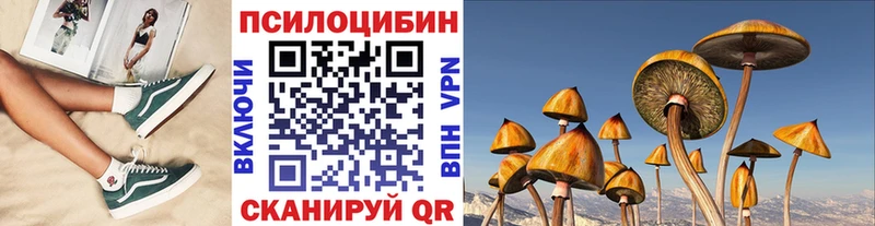 Псилоцибиновые грибы мицелий  где найти   Буйнакск 