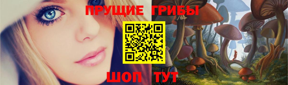 Галлюциногенные грибы мицелий Буйнакск